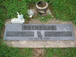 Carl S. Brinegar 