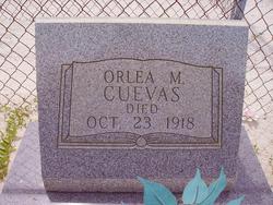 Orlea <I>Martin</I> Cuevas 