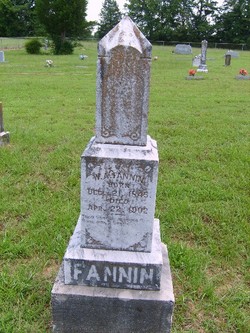 William Arnold Fannin 
