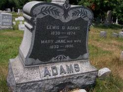 Lewis D Adams 