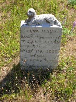 Elva Maud Allen 
