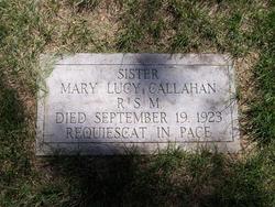 Sr Mary Lucy Callahan RSM