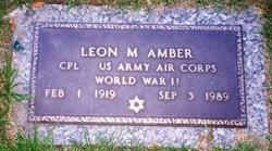 Corp Leon M Amber 