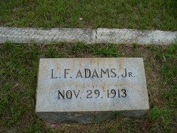 L. F. Adams Jr.