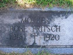 Rose <I>Rieber</I> Fritsch 