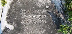 Eliza <I>Carter</I> Sellers 