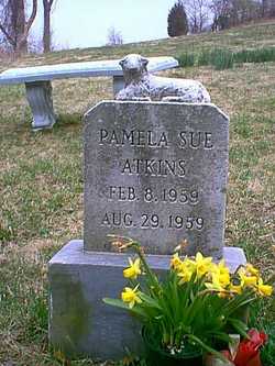 Pamela Sue Atkins 