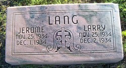 Larry Lang 