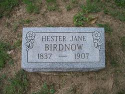 Hester Jane Birdnow 