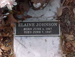 Elaine Johnson 