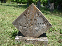 Allie W Bales 