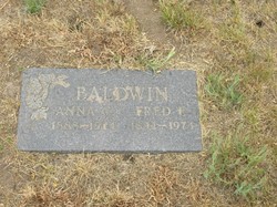 Fred Elias Baldwin 