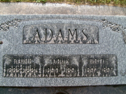 Alvah Adams 