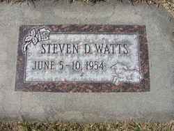 Steven D. Watts 