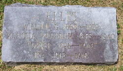 William G Ellis 