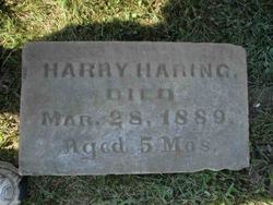 Harry Haring 