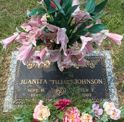 Juanita Tillie Johnson 
