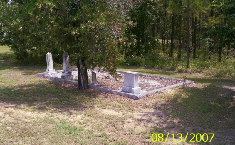 Taylor Cemetery #1