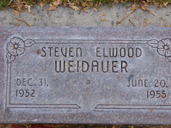 Steven Elwood Weidauer 