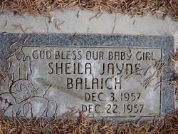 Sheila Jayne Balaich 