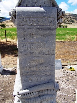 Susannah “Susan” <I>Stevens</I> Edson 