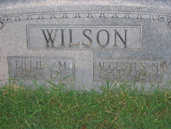 Augustus N Wilson 