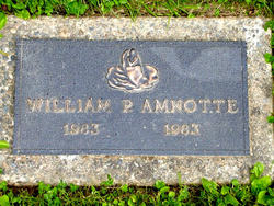 William P. Amnotte 