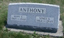 Senes S. Anthony 