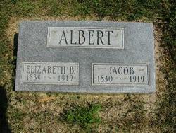 Elizabeth B Albert 