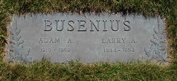 Larry Adam Busenius 