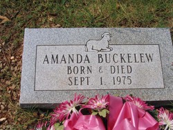 Amanda Buckelew 