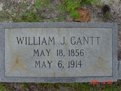 William J Gantt 