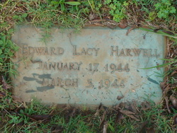 Edward Lacy Harwell 