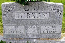 Nettie <I>Johnson</I> Gibson 