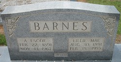 Albert Escoe Barnes 