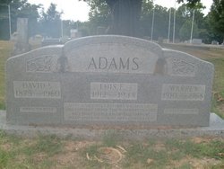 David S Adams 