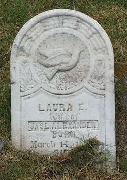 Laura E Alexander 