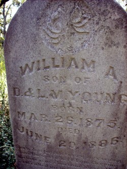 William A. Young 
