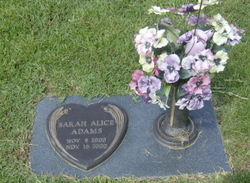 Sarah Alice Adams 