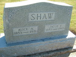 Alice Amelia <I>Strader</I> Shaw 
