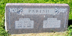 Sarah Ethel <I>Rich</I> Parish 