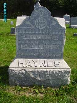 Joel B Haynes 