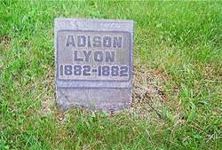 Adison Lyon 