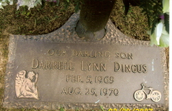 Darrell Lynn Dingus 