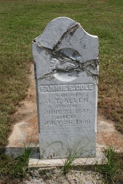 Fannie E <I>Cole</I> Allen 