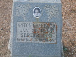 Anton Charba Jr.