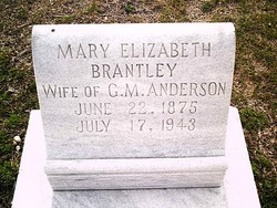 Mary Elizabeth <I>Brantley</I> Anderson 
