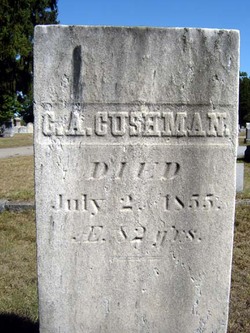 Comfort Allen Cushman 