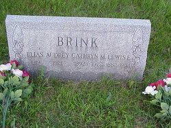 Lewis E Brink 