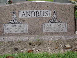 Tom Andy Andrus 